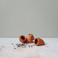Squirrel tea infuser - Carslake Tea Company